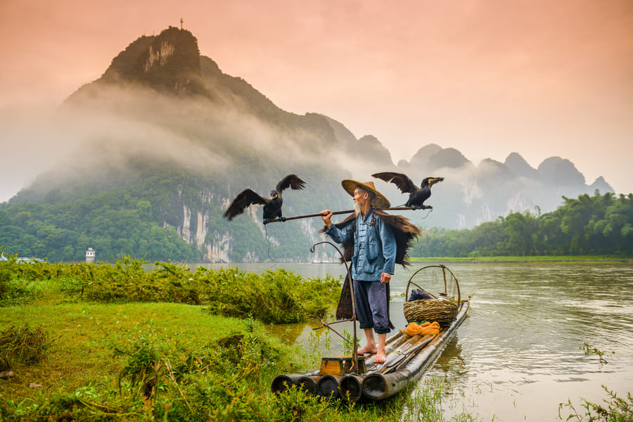 Pescador en el Cormoran en Yangshuo